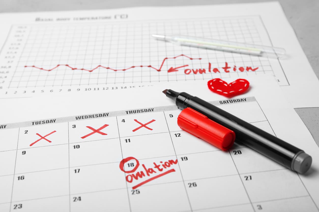 Is it Possible to Induce Ovulation?