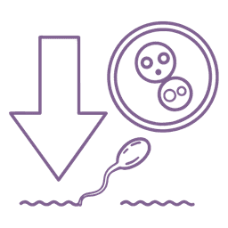 Age-Related Fertility