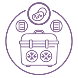 Embryo Transfer Icon