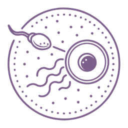 Fertilization Icon