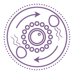 Ovulation Induction Icon