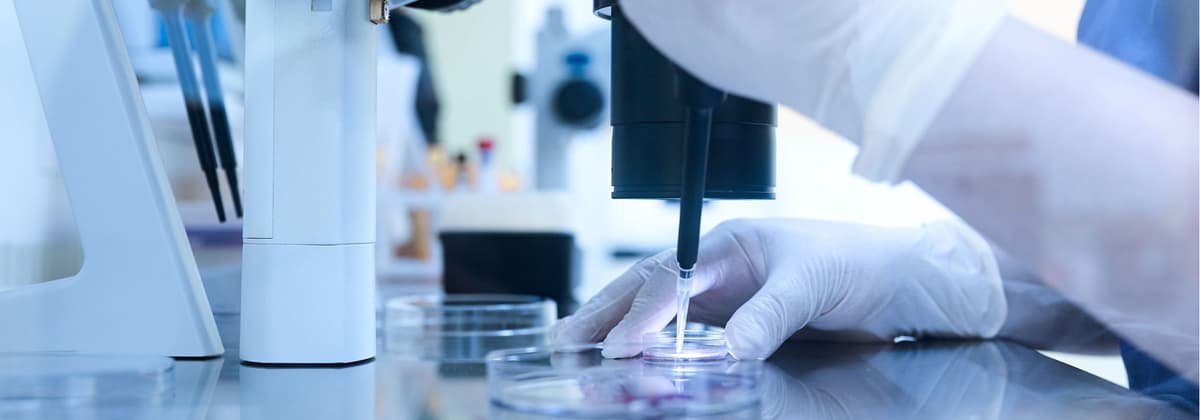 IVF and Andrology Laboratory