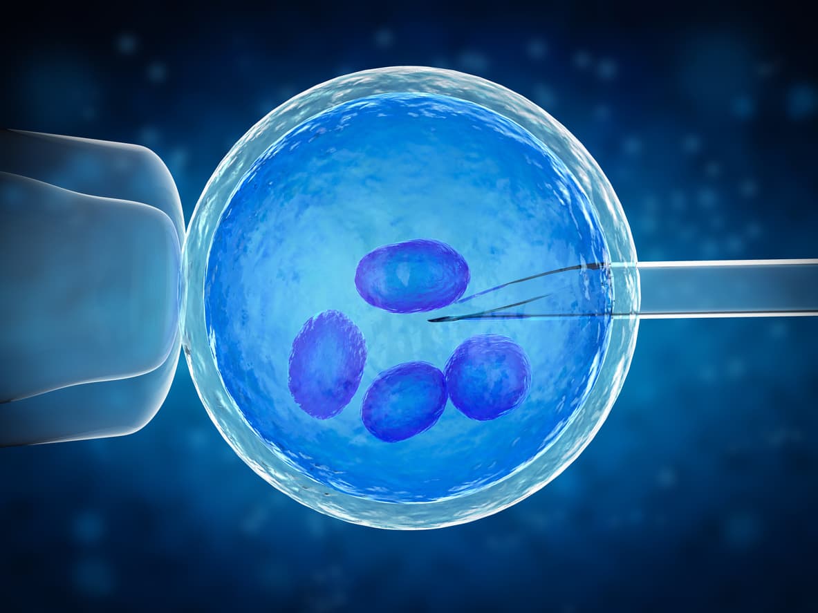 The Role of Genetic Counseling in IVF