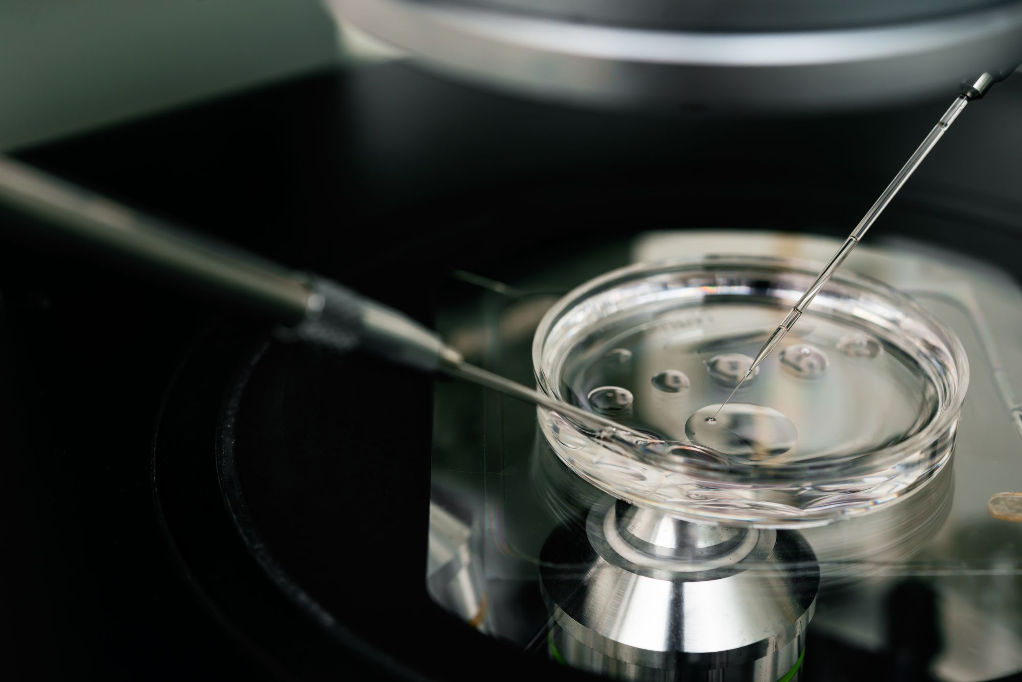 IVF consultation and fertility treatment