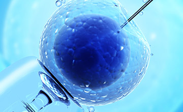 Artificial Insemination