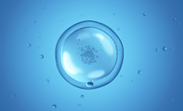 Egg freezing