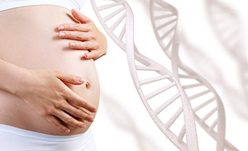 PGD PGS Genetics