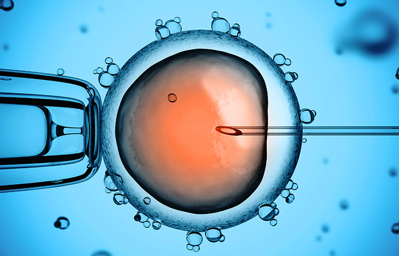 Artificial Insemination (IUI)