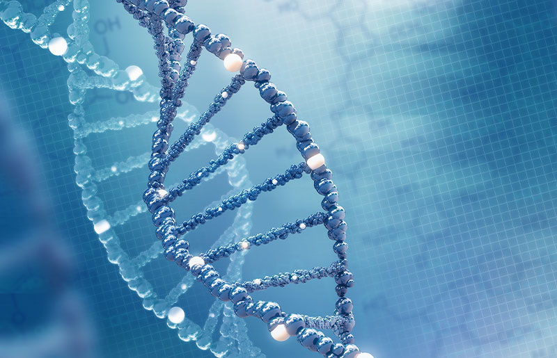 Genetic Testing (PGD/PGS)