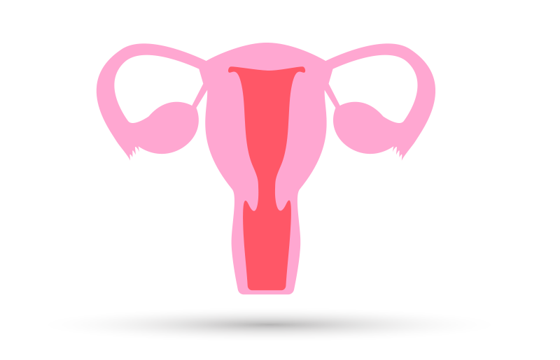 Uterine Cavity Rejuvenation