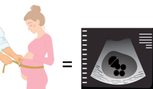 Measuring Women's Belly