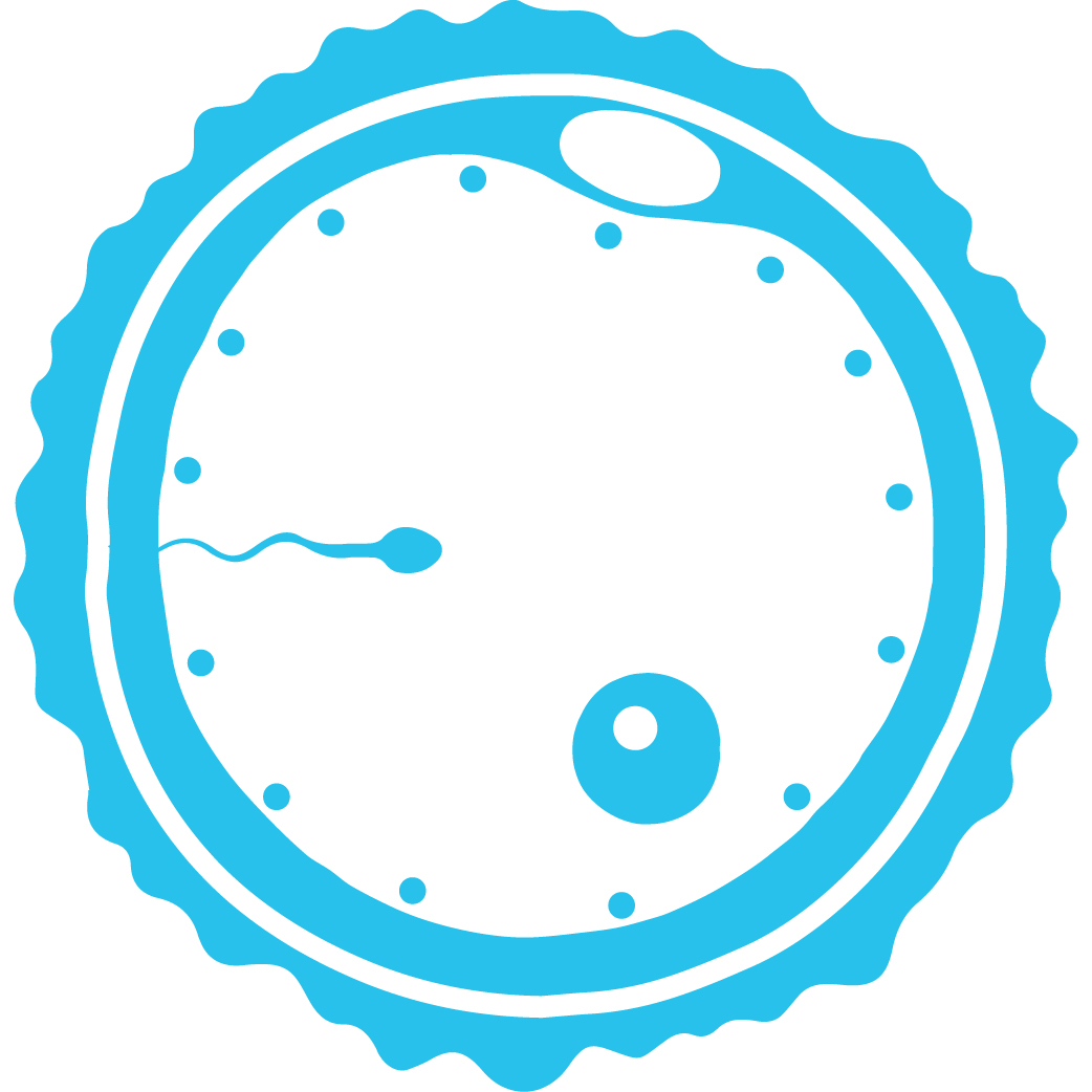 In Vitro Fertilization