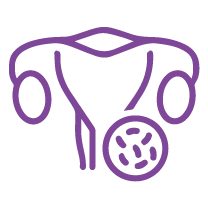 PCOS Icon