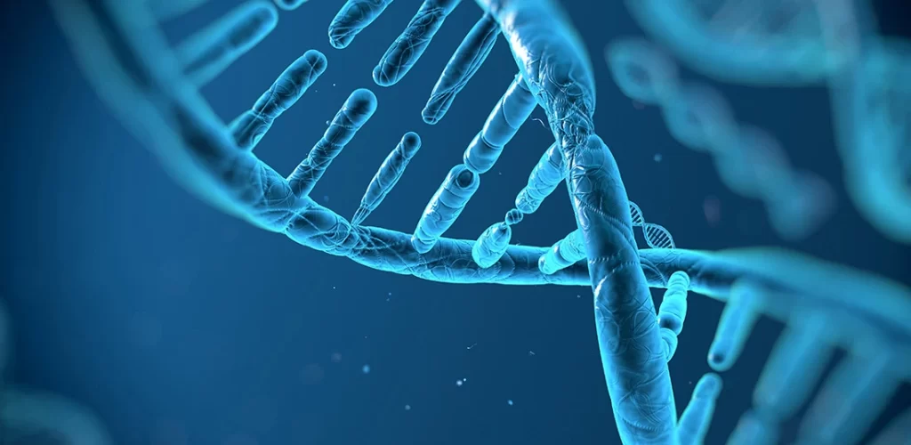 Preimplantation Genetics Screening