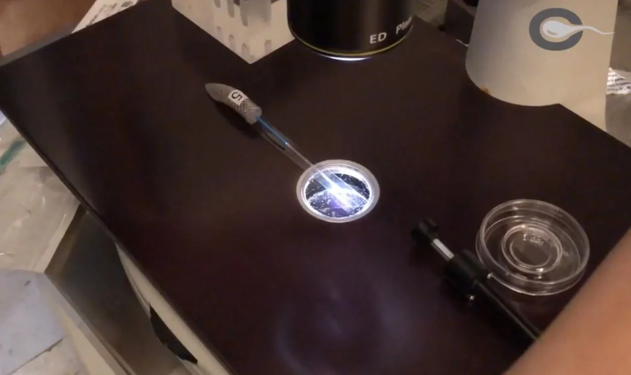 Embryo and Egg Vitrification Technique Video