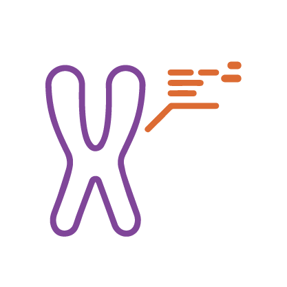 Chromosome Analysis Icon
