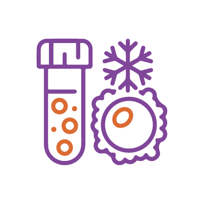 Embryo Selection Icon