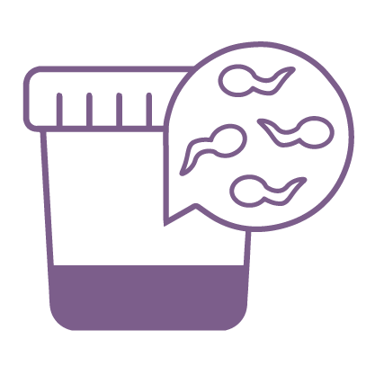 Collection Icon