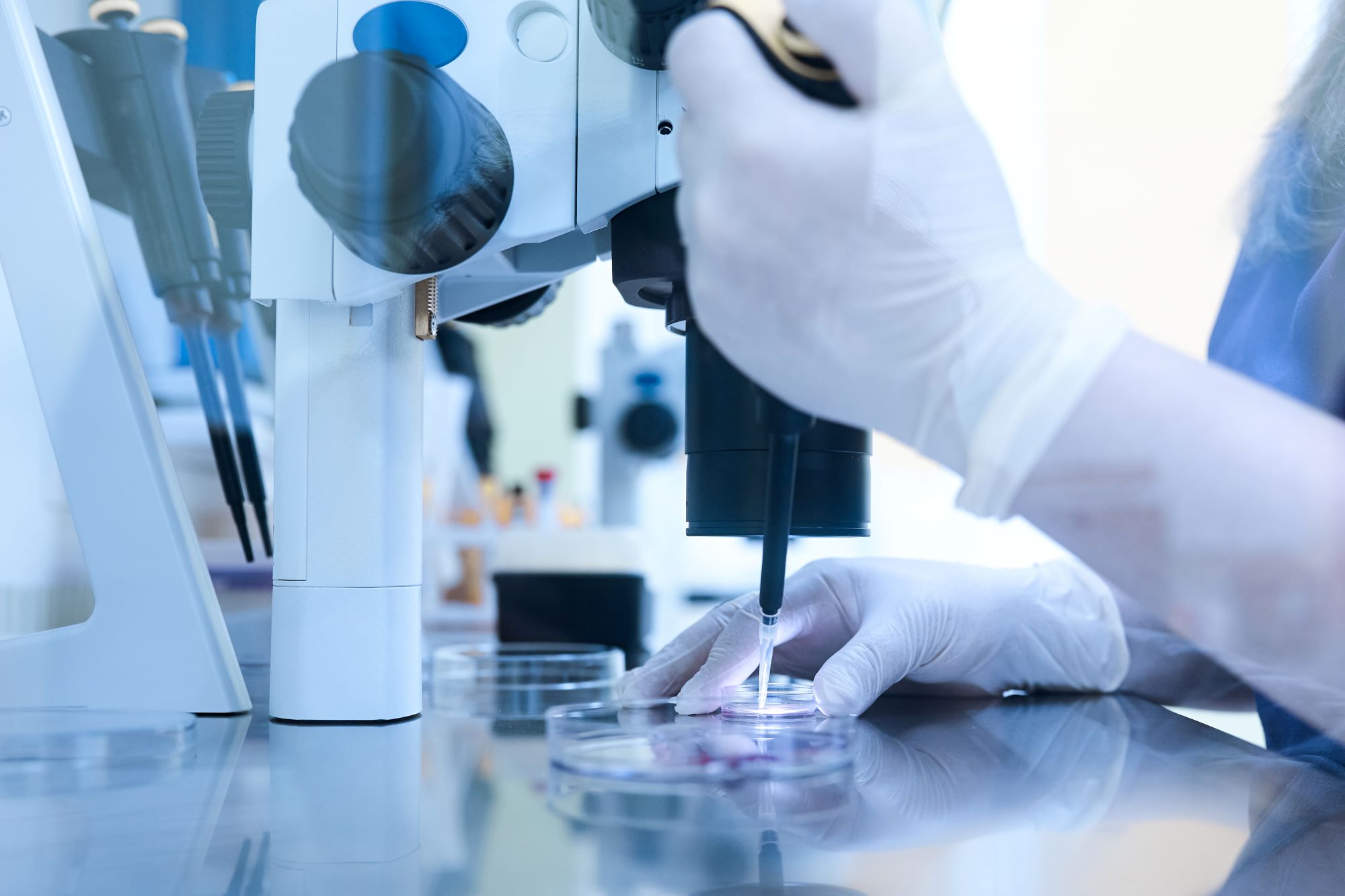 IVF Laboratory