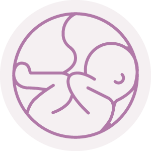 Egg Freezing Icon