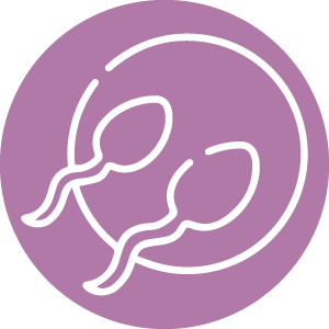 IUI Icon Hover