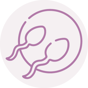 IUI Icon