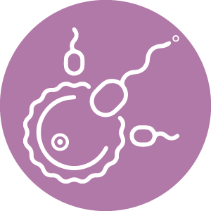 Male Fertility Icon Hover