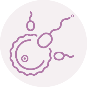 Male Fertility Icon