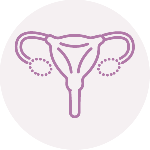 Ovarian Rejuvenation Icon