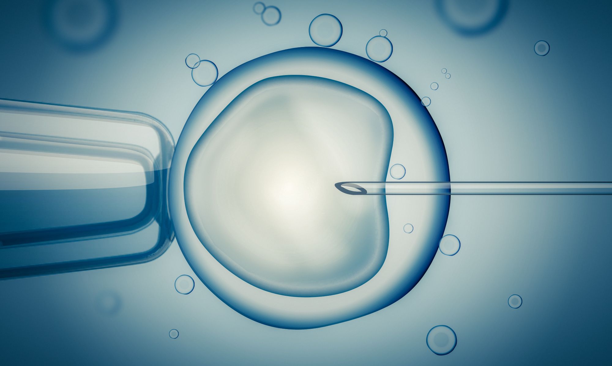 ICSI procedure microscopic view