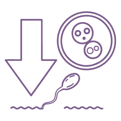 Age-Related Fertility