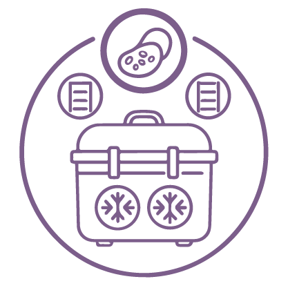 Embryo Transfer Icon