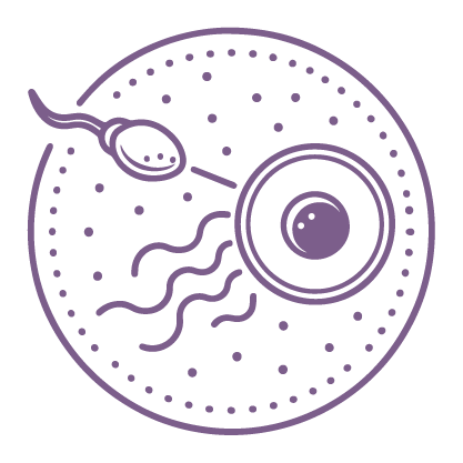 Fertilization Icon