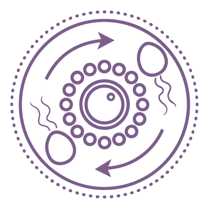 Ovulation Induction Icon