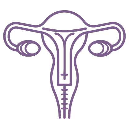 Uterine Lining