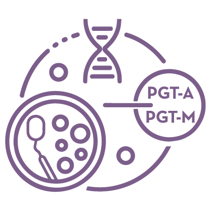 Preimplantation Genetic Testing Icon