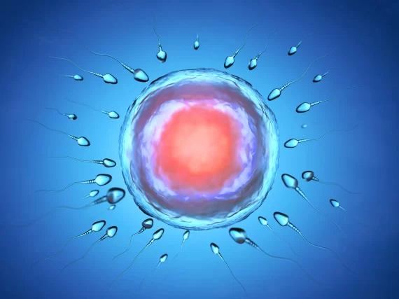 IVF clinic texas IVF clinic texas